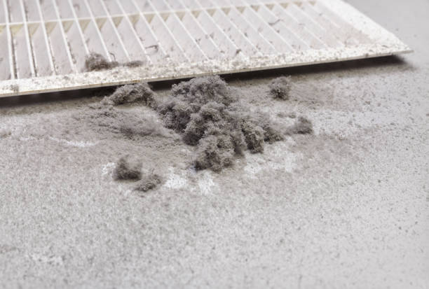 Best HVAC Duct Inspection Services  in Rochester, IN