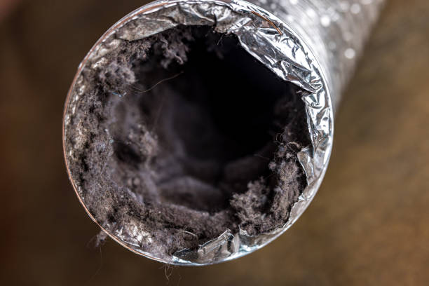 Best Ductwork Cleaning Services  in Rochester, IN